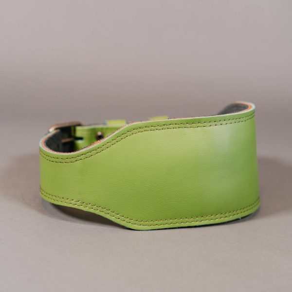 WARBELT BASICO VERDE – CINTURON DE CUERO